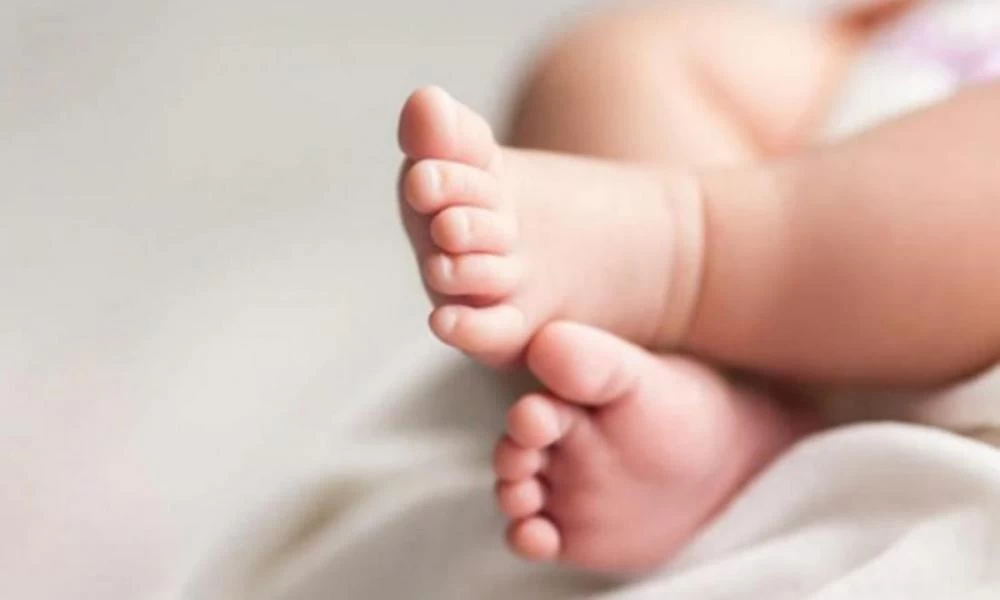 Ινδία: Σκύλος γυρνούσε με κομμένο κεφάλι μωρού στα δόντια
